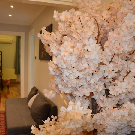 Taksim Flat Back Appartement *